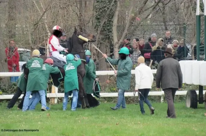 Jocke sitzt auf einem Pferd und Menschen versuchen es zu beruhigen