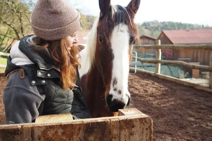 frau schaut ein pferd an