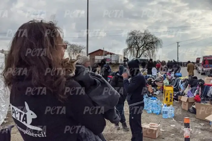PETA Mitarbeiterin mit Katze im Arm an polnisch-ukrainischer Grenze