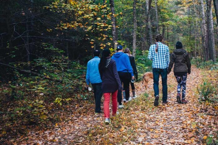 Gruppe von Menschen spaziert im Wald
