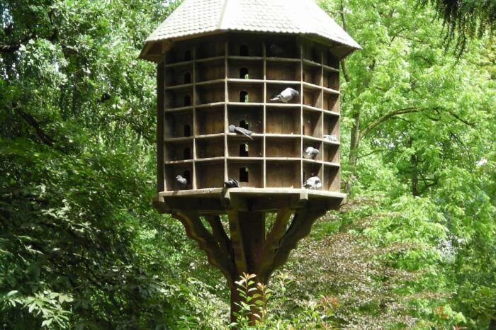 Taubenschlag im Wald