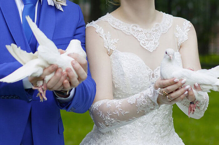 Hochzeitspaar haelt weisse Tauben in den Haenden.
