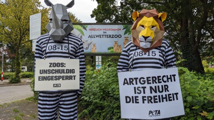 Menschen in Tiermasken und Sträflingskostümen halten Schilder.