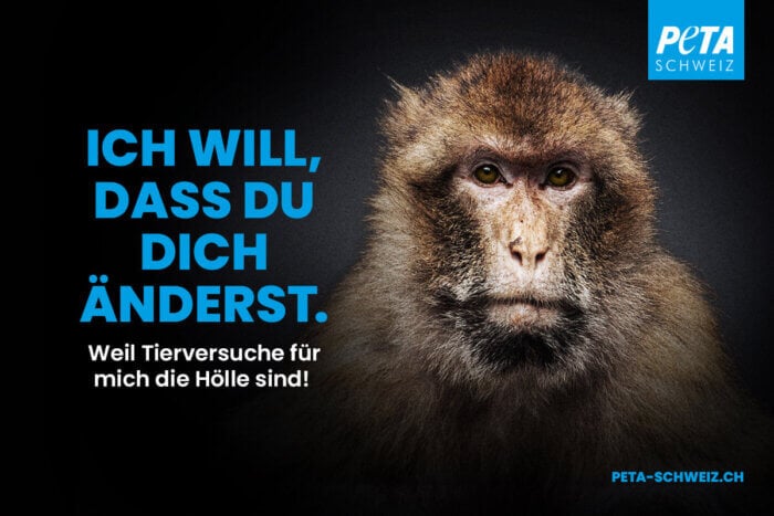 PETA CH Plakatkampagne mit Tiermotiv Affe "Ich will, dass du dich änderst"