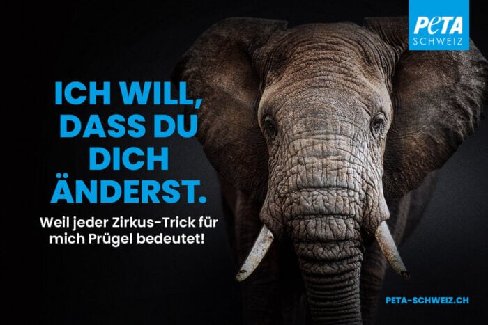 PETA CH Plakatkampagne mit Tiermotiv Elefant "Ich will, dass du dich änderst"