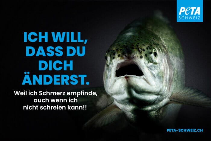 PETA CH Plakatkampagne mit Tiermotiv Fisch "Ich will, dass du dich änderst"