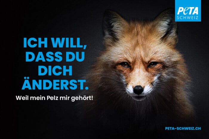 PETA CH Plakatkampagne mit Tiermotiv Fuchs "Ich will, dass du dich änderst"
