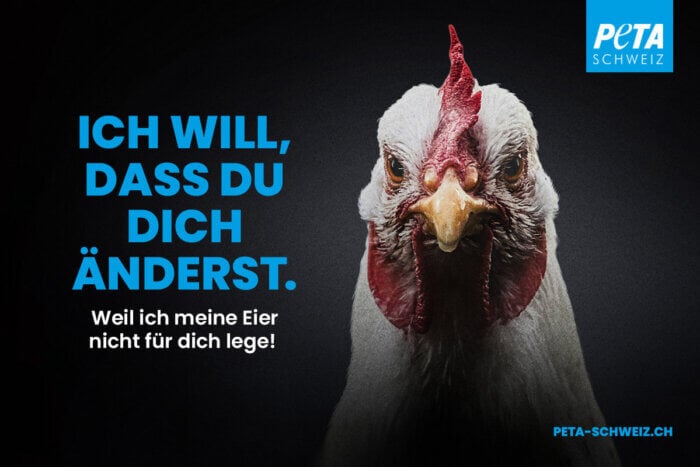 PETA CH Plakatkampagne mit Tiermotiv Huhn "Ich will, dass du dich änderst"