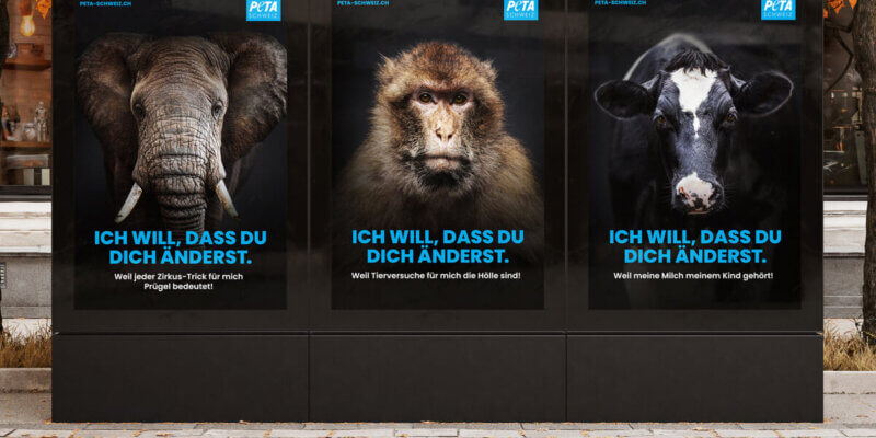 PETA CH Plakatkampagne mit Tiermotiven Elefant, Affe und Kuh: "Ich will, dass du dich änderst"