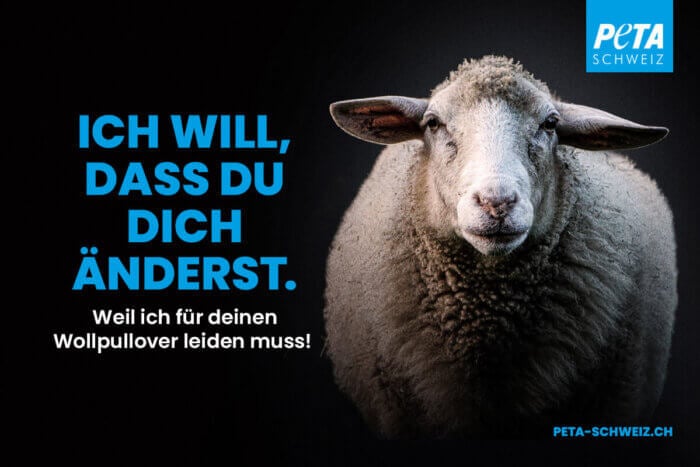 PETA CH Plakatkampagne mit Tiermotiv Schaf "Ich will, dass du dich änderst"