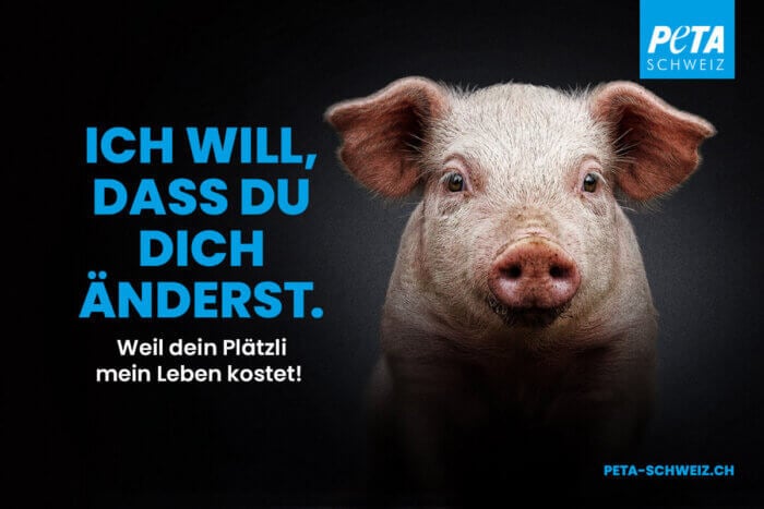 PETA CH Plakatkampagne mit Tiermotiv Schwein "Ich will, dass du dich änderst"